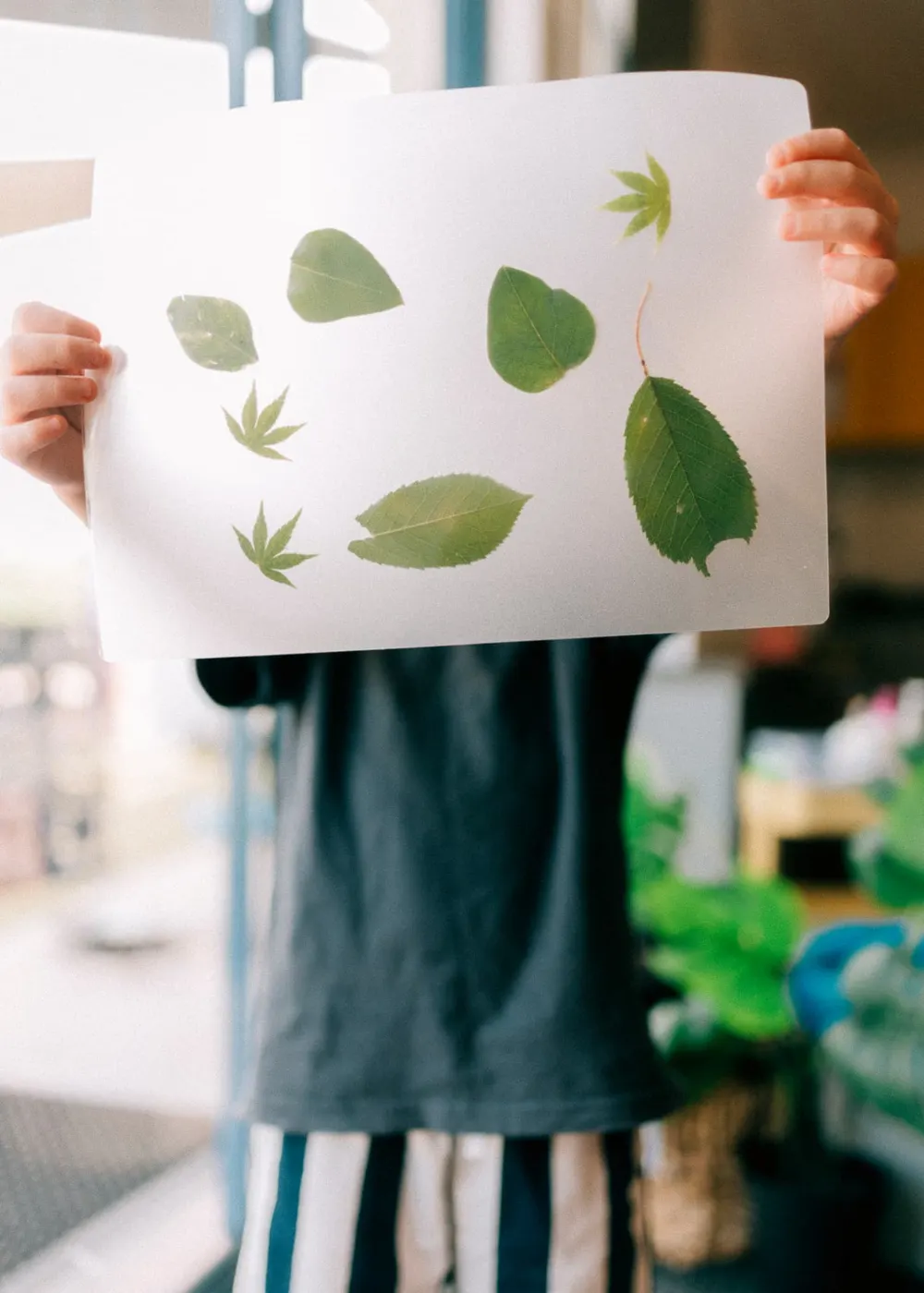 A child showing off leaf artwork