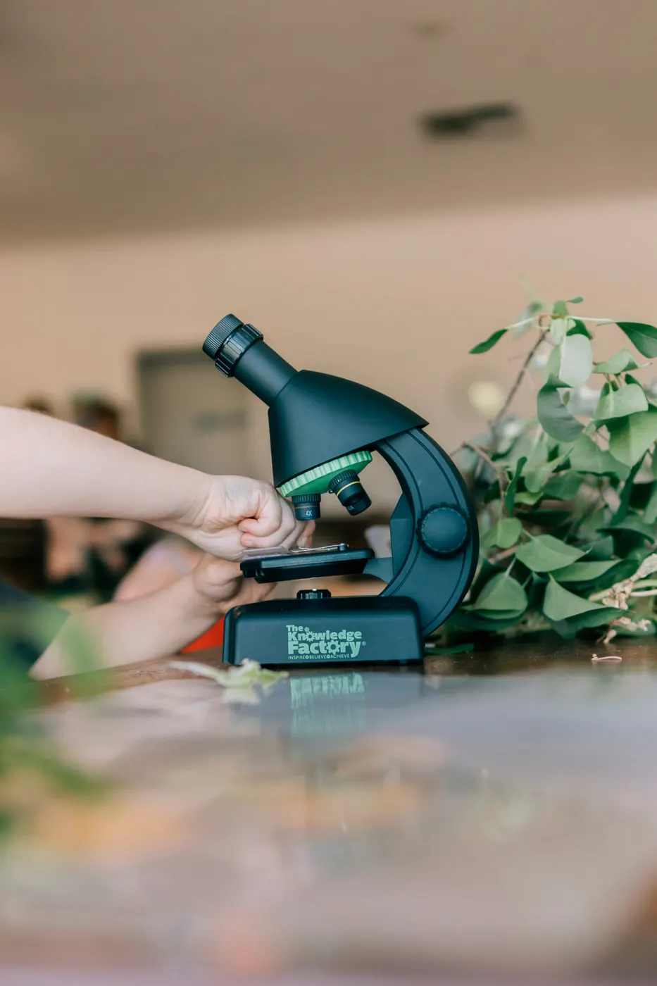 A child looking at leaves under a microscope